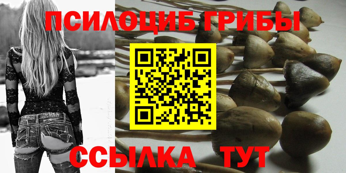 Псилоцибиновые грибы MAGIC MUSHROOMS  Вход с VPN  Галлюциногенные грибы Magic Shrooms  Биробиджан 