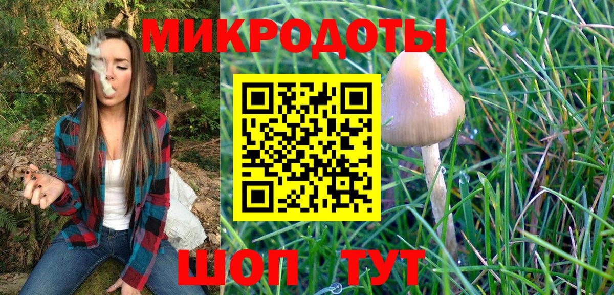 Псилоцибиновые грибы Psilocybe Биробиджан